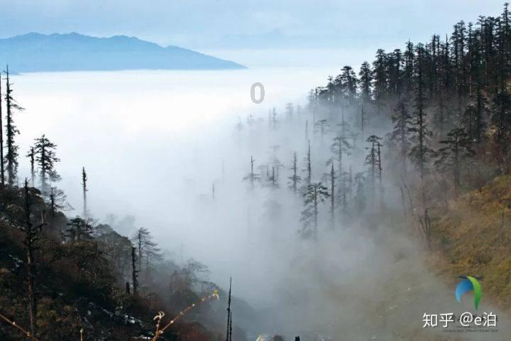 水果益智对对碰
