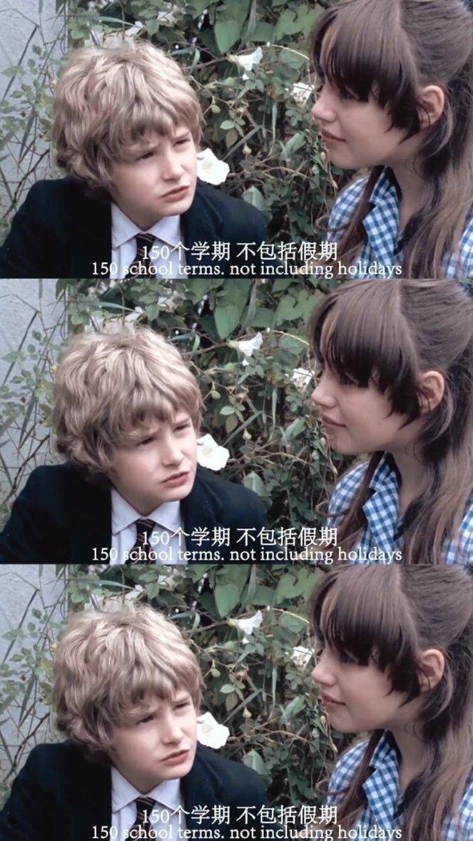 穿越遗弃的森林